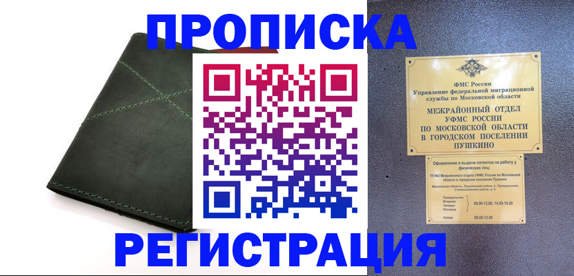 прописка в квартире в Зверево